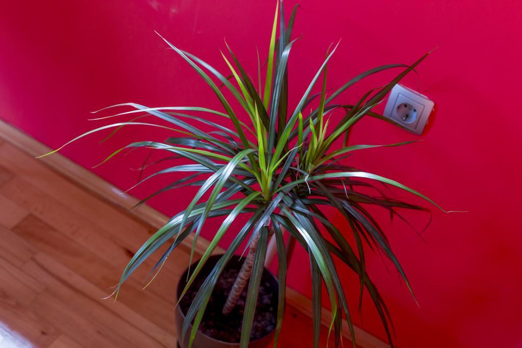 Ava Apartmani Zablaće Exteriér fotografie